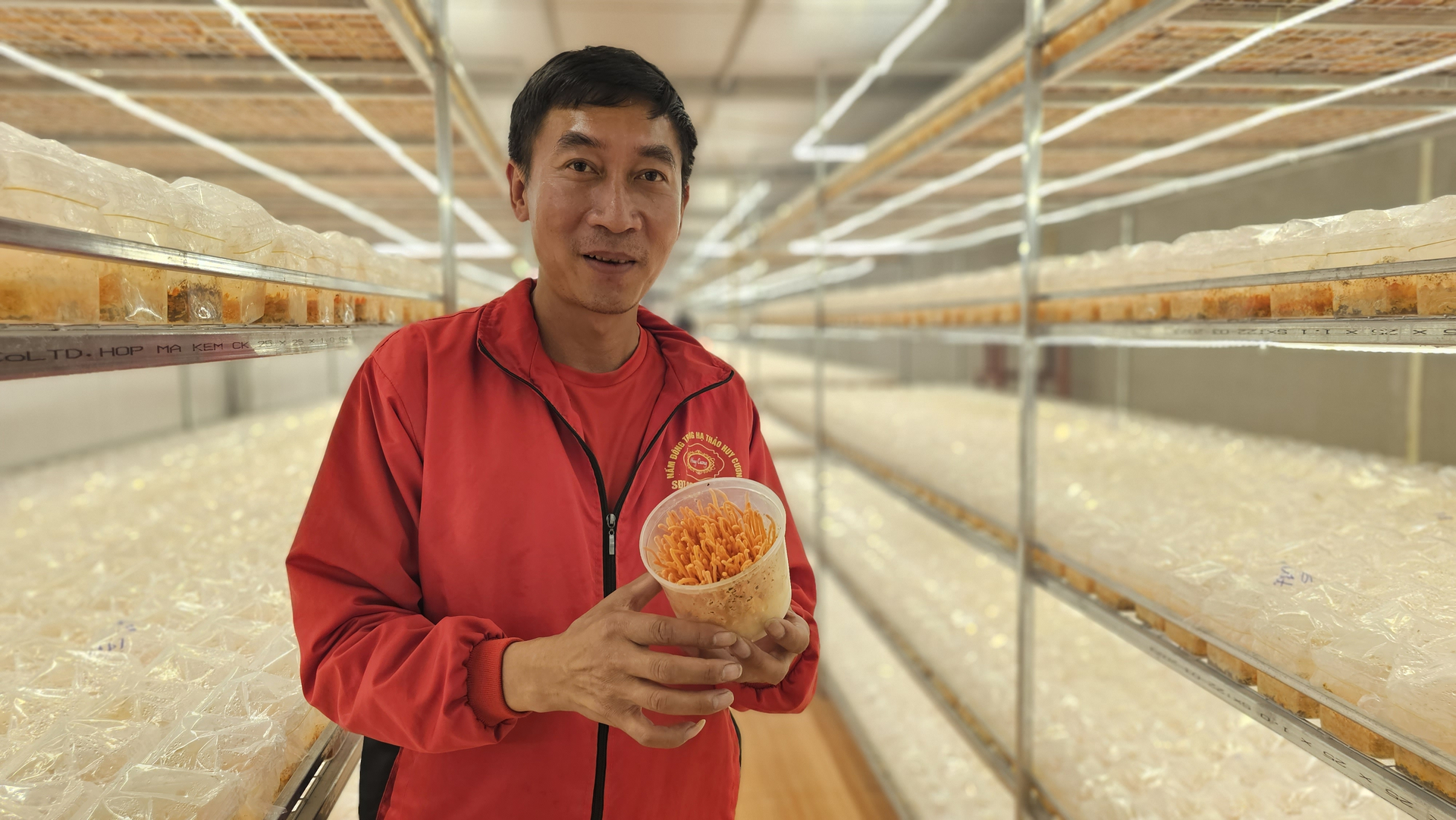 Ông Đào Huy Cương kiểm tra sản phẩm trong phòng sản xuất nấm đông trùng hạ thảo. Ảnh: Hải Đăng.