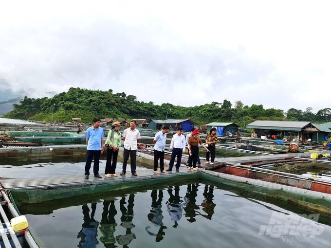 Tỉnh Tuyên Quang đã triển khai một số chính sách để thúc đẩy thủy sản phát triển. Ảnh: Đào Thanh.