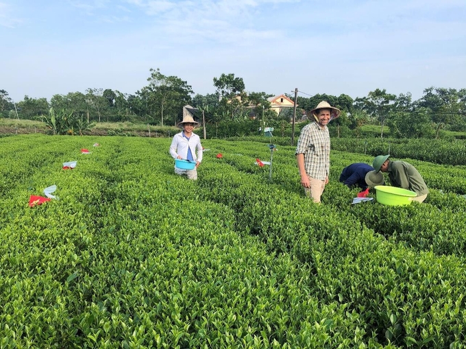 Nhóm nghiên cứu tiến hành đánh giá, thu thập mẫu tại hiện trường. Ảnh: Phạm Hiếu.