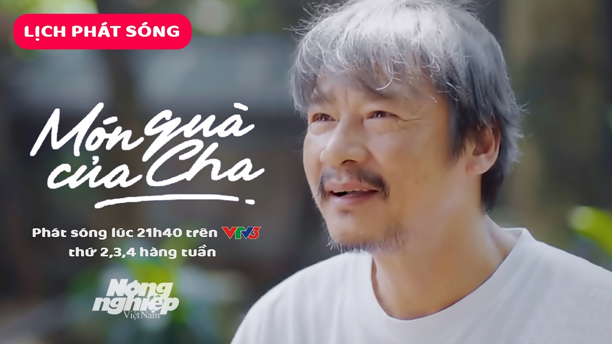 Thông tin chi tiết về lịch chiếu bộ phim Món quà của cha trên kênh VTV3