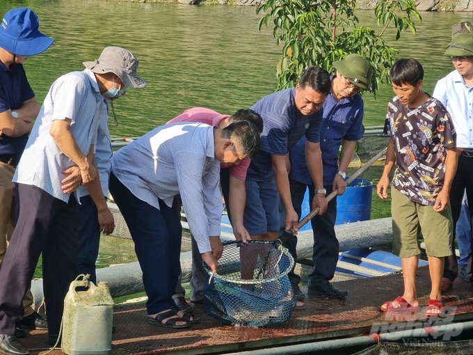 Trong tiến trình phát triển, hiện nay ngành thủy sản ở Tuyên Quang vẫn còn những khó khăn, rào cản nhất định. Ảnh: Đào Thanh.