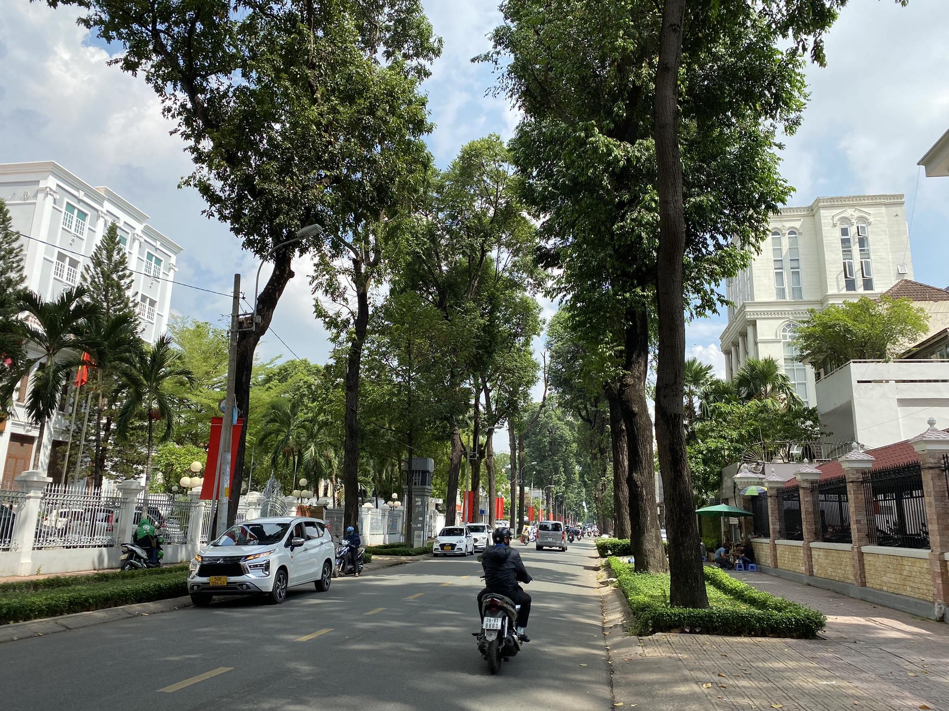 A road lined with trees in Ho Chi Minh City.