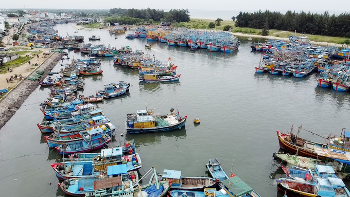 Mặc dù hiện nay tàu mới có hầm cách nhiệt bảo quản nhưng cũng không cải thiện được là bao, chất lượng sản phẩm vẫn giảm nếu đi biển lâu ngày. Ảnh: Minh Sáng.