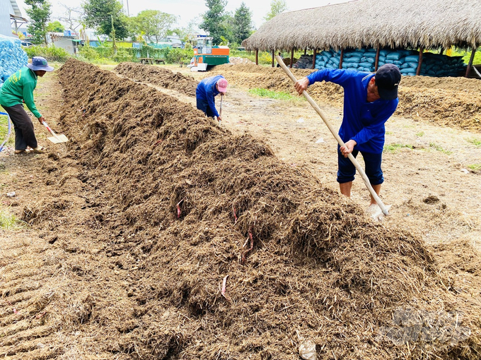 Tens of millions of tons of rice straw are being wasted in the Mekong Delta, if collected and processed into organic fertilizer, it will bring great value and reduce environmental pollution. Photo: Hoang Vu.