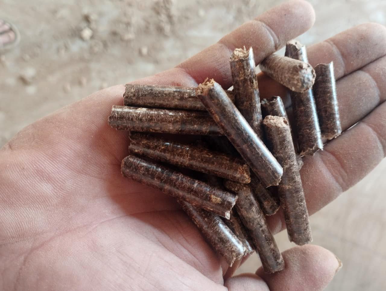 Wood pellets produced at a factory in Binh Duong province. Photo: Son Trang.