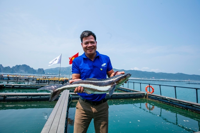 Mô hình nuôi cá biển bằng lồng HDPE của STP Group. Ảnh: Nguyễn Thành.