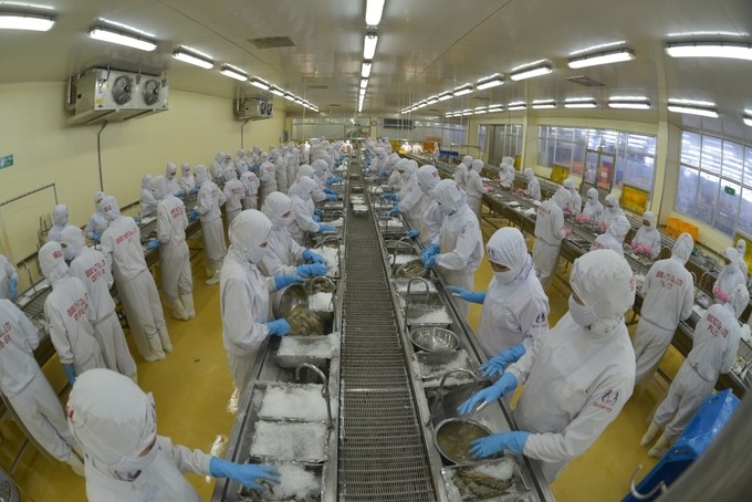 Seafood exports are forecast to face many difficulties until the end of the third quarter of 2023. Photo: Thanh Cuong.