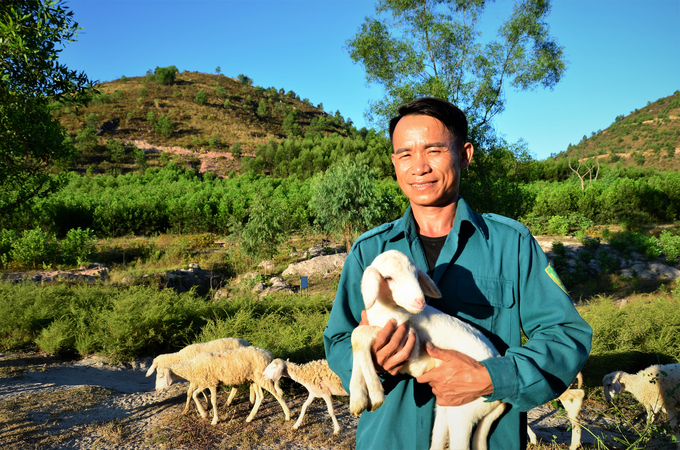 Anh Bùi Công bên một con cừu non. Ảnh: Dương Đình Tường.