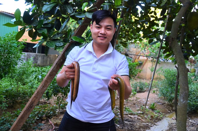 Anh Nguyễn Minh Thao - chủ một cơ sở chế biến lươn nổi tiếng ở xã Long Thành. Ảnh: Dương Đình Tường.