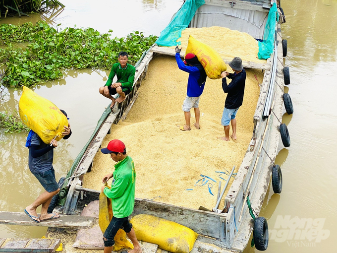 Viện Chính sách và Chiến lược Phát triển nông nghiệp nông thôn đề xuất thời gian tới, các tỉnh ĐBSCL cần xây dựng diễn đàn lúa gạo trên nền tảng số hóa để phục vụ HTX, tổ hợp tác. Ảnh: Lê Hoàng Vũ.