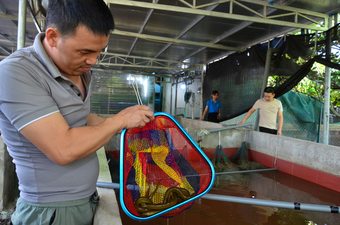 Mô hình nuôi lươn không bùn ở xã Long Thành. Ảnh: Dương Đình Tường.