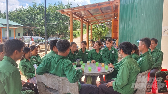Cuộc gặp mặt đầu giờ chiều của những công nhân đến từ vùng Quan Hóa (tỉnh Thanh Hóa) lập nghiệp trên đất mới Ia H'Drai, tỉnh Kon Tum. Ảnh: Kiên Trung.