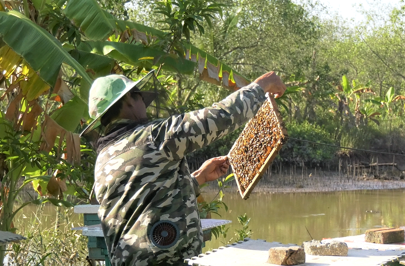 Nhiều hộ dân ở xã Đại Hợp, huyện Kiến Thụy đã chuyển từ nuôi trồng thủy sản sang nuôi ong. Ảnh: Đinh Mười.