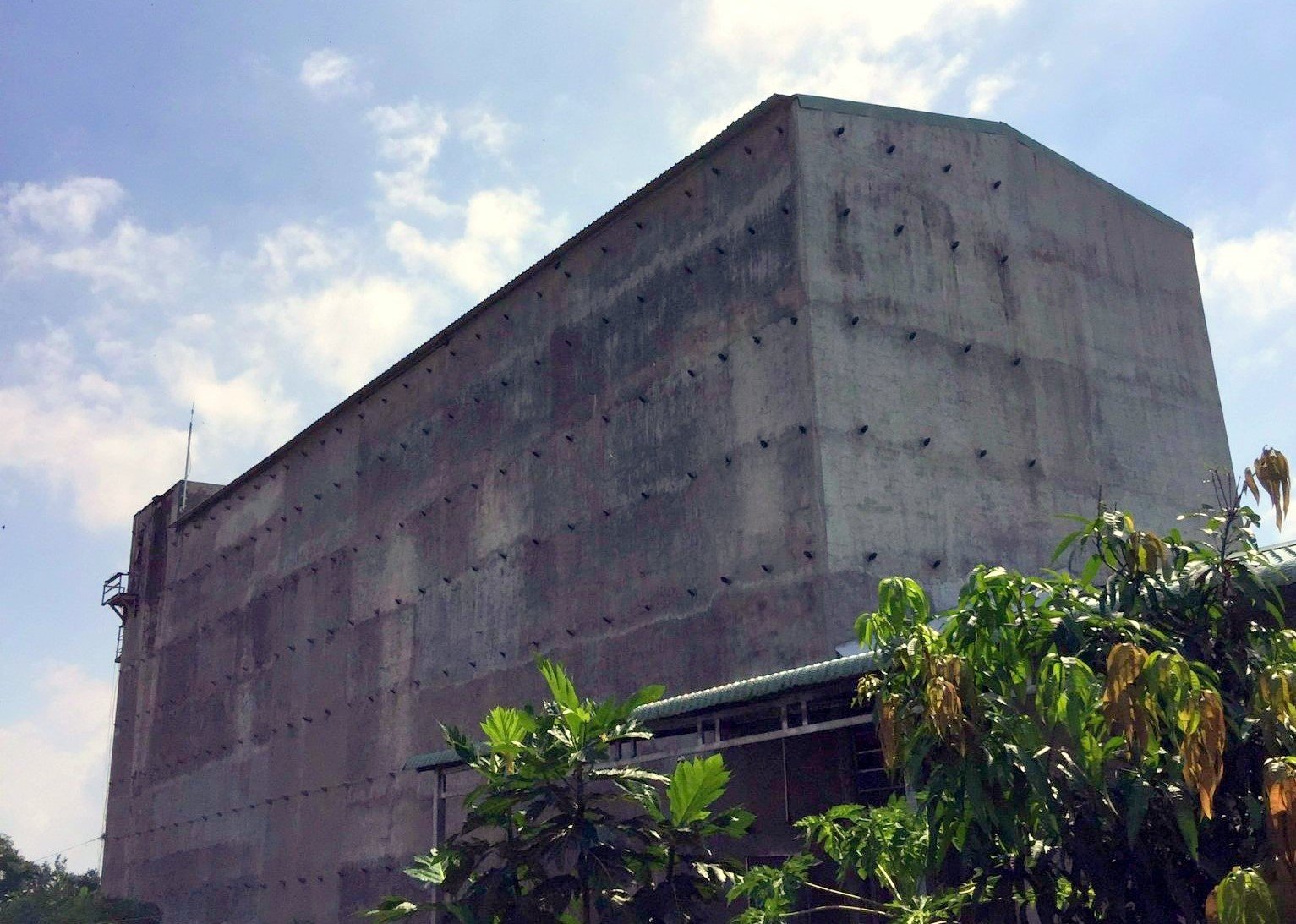 A house to attract swiftlets in Phu Yen province. Photo: KS.
