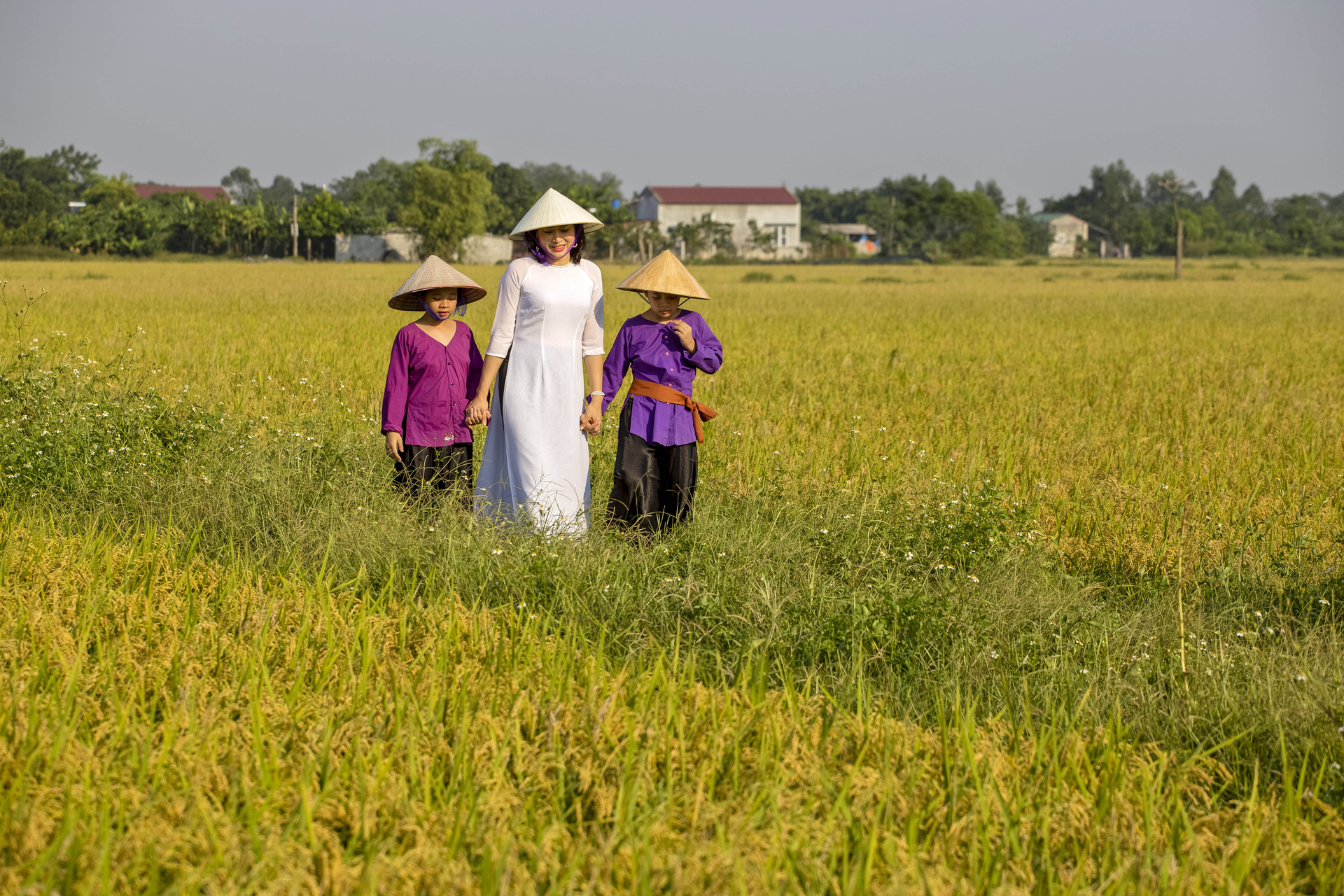 Cánh đồng hữu cơ ở Đồng Phú trở thành nơi nhiều người đến chụp ảnh.