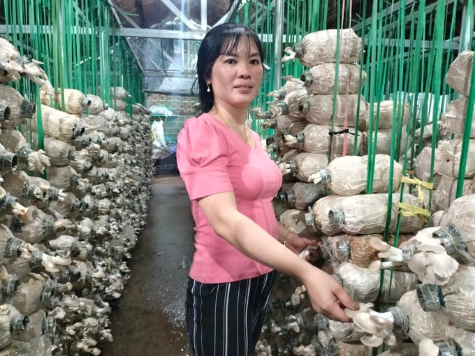 Chị Dương Thị Trúc, chủ trại nấm Thanh Nhàn cho hay trang trạng đang có 10 lao động nữ với thu nhập từ 200.000 đồng/ngày với công việc làm phôi, hái nấm. Ảnh: Minh Đảm.