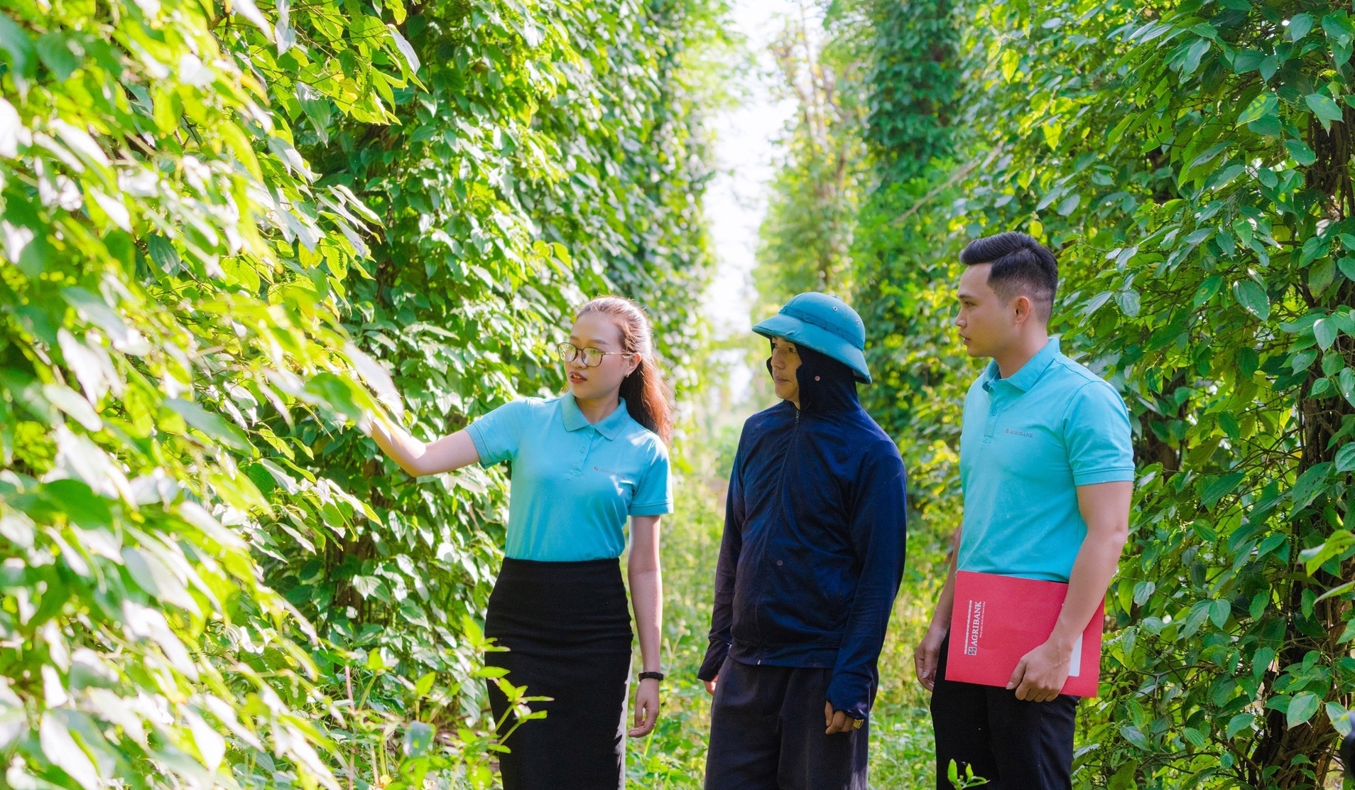 Cán bộ ngân hàng Agribank Phú Yên đến tham quan mô hình sản xuất nông nghiệp của bà con nông dân. Ảnh: KS.