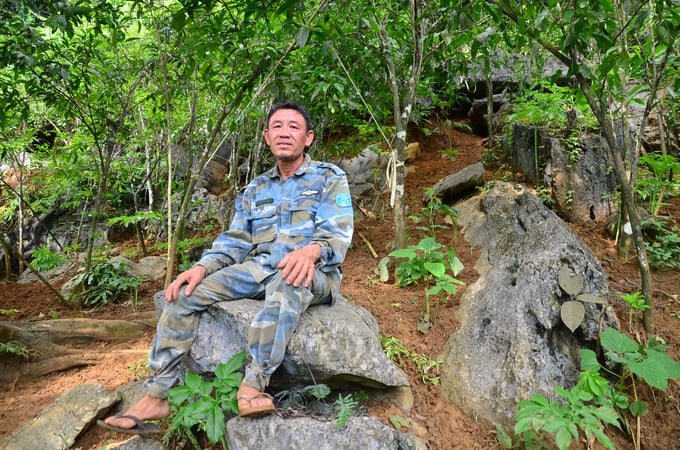 Anh Lê Văn Kít bên những cây rau sắng trồng ở ven các hốc đá. Ảnh: Dương Đình Tường.