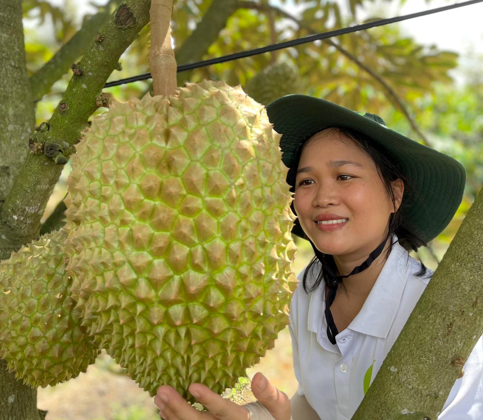 Durian, the current most exported Vietnamese fruit. Photo: Son Trang.