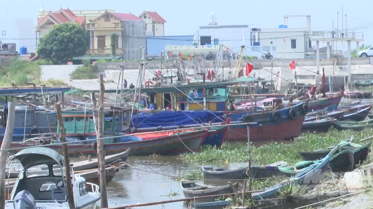 Tàu, thuyền được đưa về nơi trú ẩn an toàn. Ảnh: Toán Nguyễn.