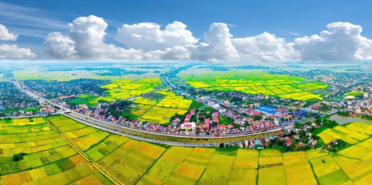 Establishment of the Red River Delta Regional Coordinating Council. Photo: VOV.