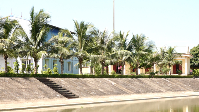 Hàng cây cối ngăn nắp trên kênh Châu Giang khu vực trạm bơm Hữu Bị. Ảnh: Huy Bình.