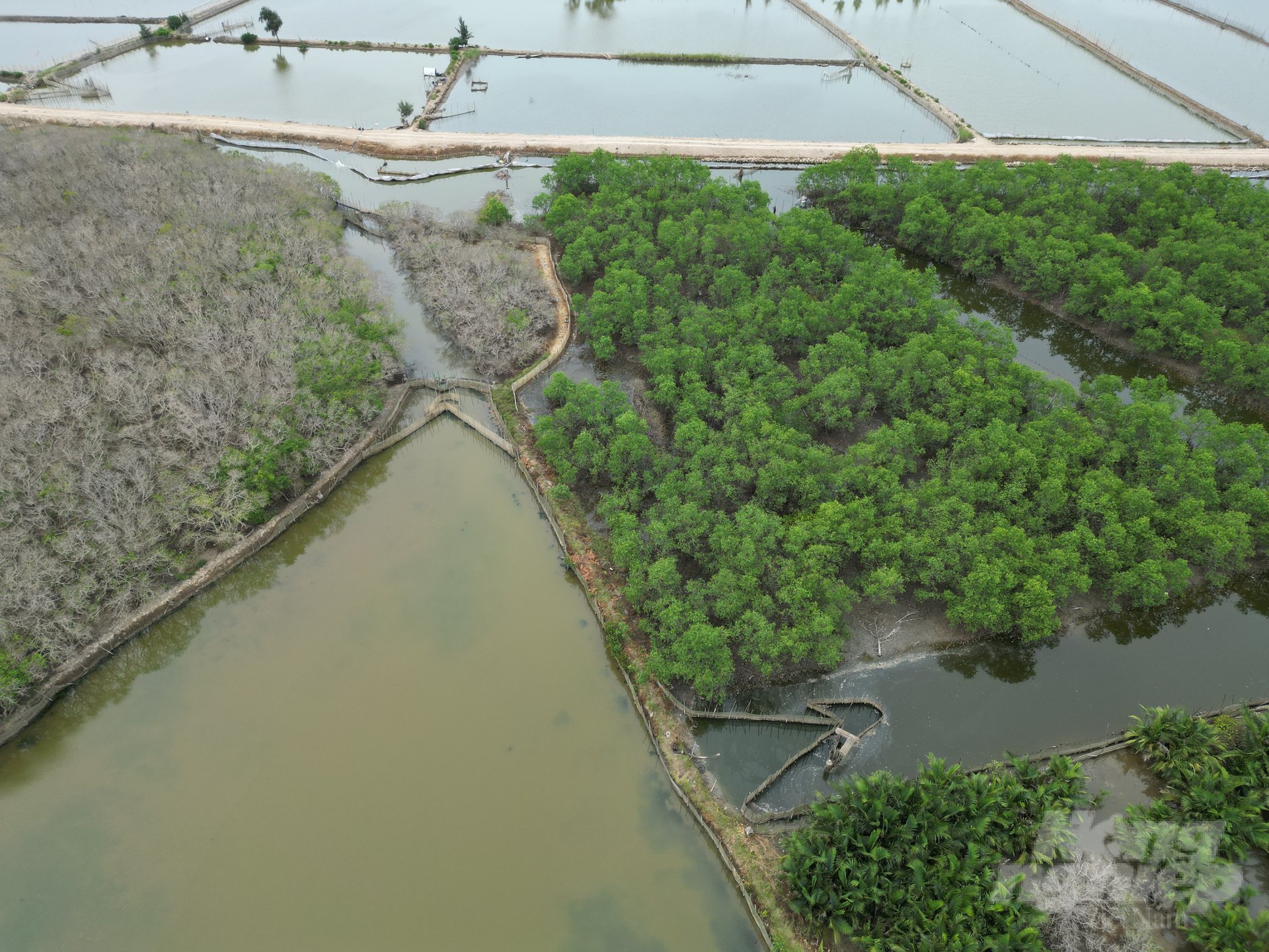 Rú Chá là tên của một khu rừng ngập mặn nguyên sinh nằm tại làng Thuận Hòa, xã Hương Phong, thành phố Huế, tỉnh Thừa Thiên Huế. Nơi đây được biết đến là khu rừng ngập mặn duy nhất còn tồn tại trên hệ đầm phá Tam Giang, cũng là hệ đầm phá nước lợ lớn nhất tại khu vực Đông Nam Á.
