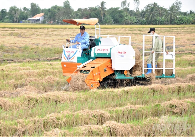 Mechanization technology will help farmers easily collect and move rice straw out of the field and put it to various uses, creating added value. Photo: Trung Chanh.