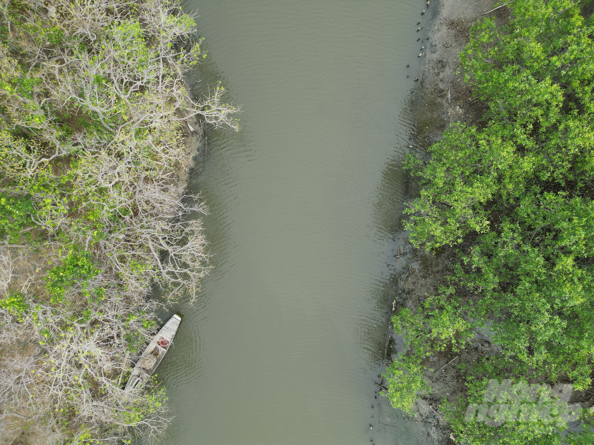 Từ năm 2020, Cồn Tè - Rú Chá, Ô Lâu là một trong 2 phân vùng nằm trong Khu bảo tồn thiên nhiên đất ngập nước Tam Giang - Cầu Hai. 