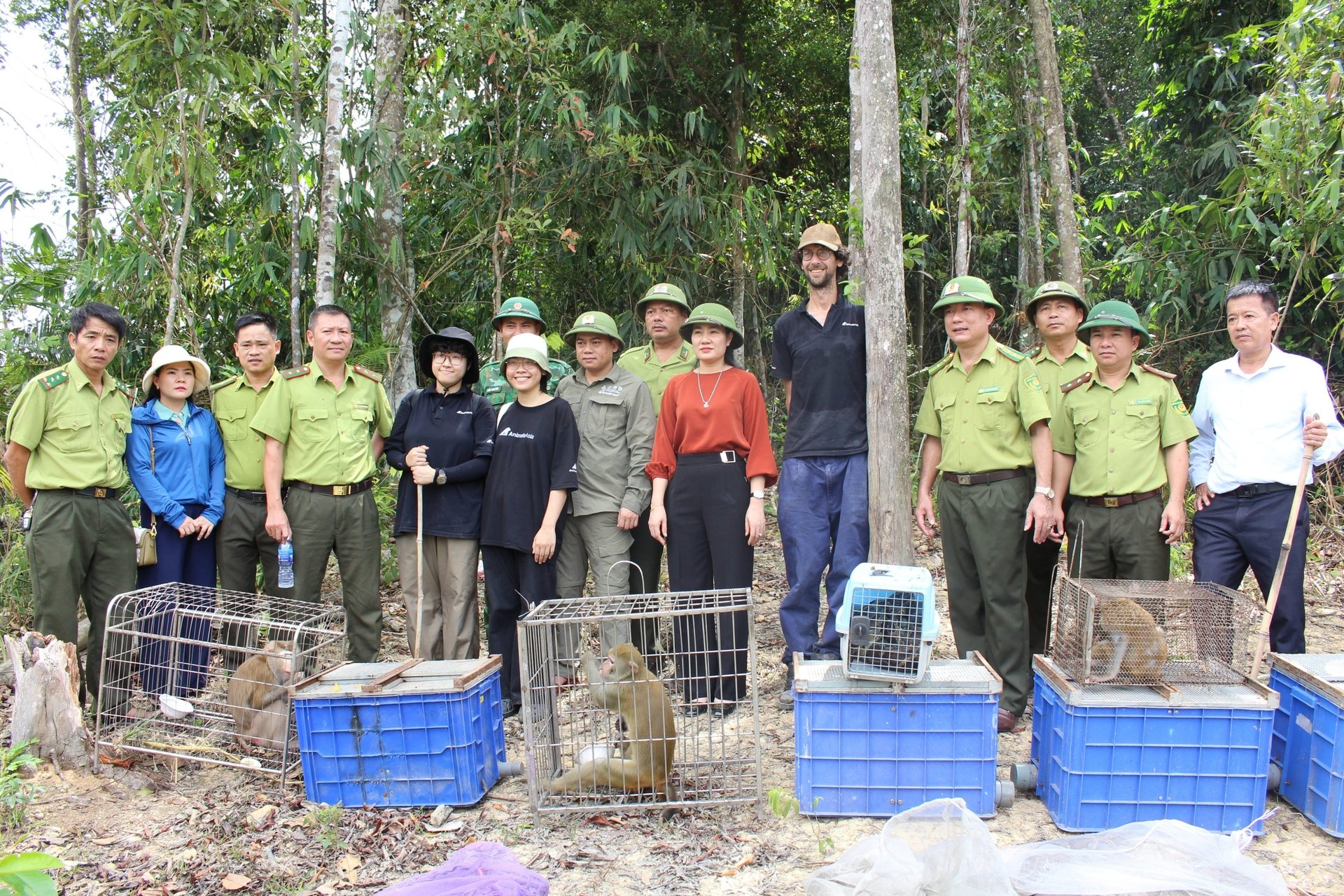 Các lực lượng chức năng tham gia thả 53 cá thể động vật hoang dã vào khu vực rừng do Vườn Quốc gia Vũ Quang quản lý. 