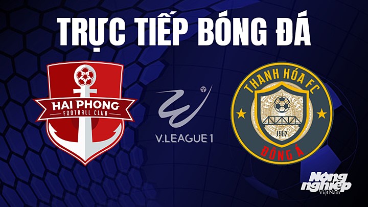 Trực tiếp bóng đá V-League 2023 giữa Hải Phòng vs Thanh Hóa hôm nay 22/7/2023