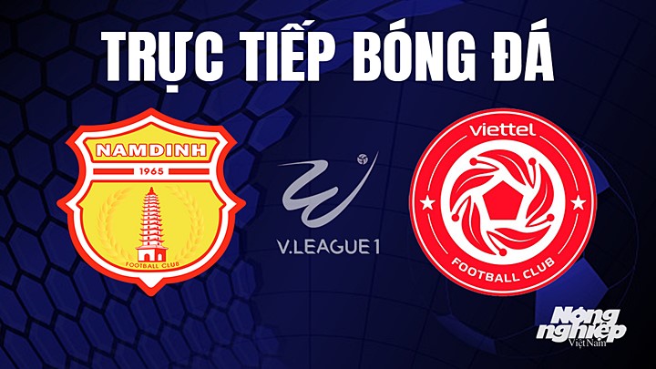 Trực tiếp bóng đá V-League 2023 giữa Nam Định vs Viettel hôm nay 22/7/2023