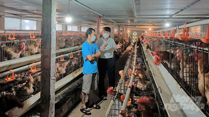 Một trang trại gà ở tỉnh Bắc Giang. Ảnh: Toán Nguyễn.