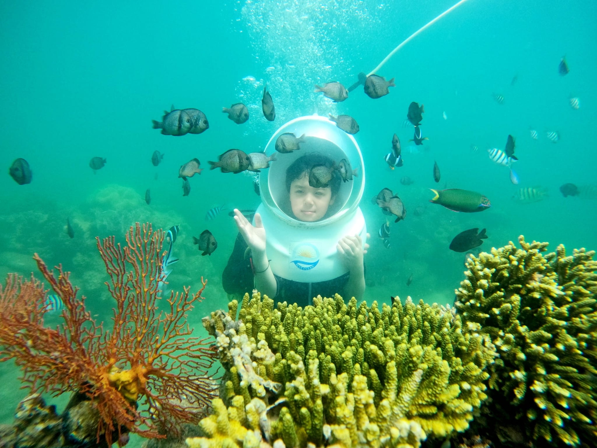 Du khách thích thú với dịch vụ đi bộ dưới biển ngắm san hô ở Nha Trang. Ảnh: Hồng Thắm.