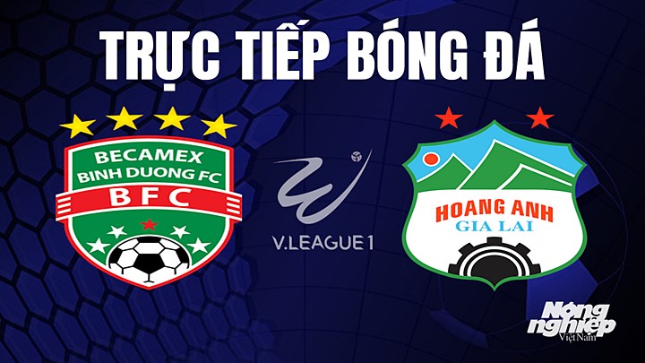 Trực tiếp bóng đá V-League 2023 giữa Bình Dương vs HAGL hôm nay 23/7/2023