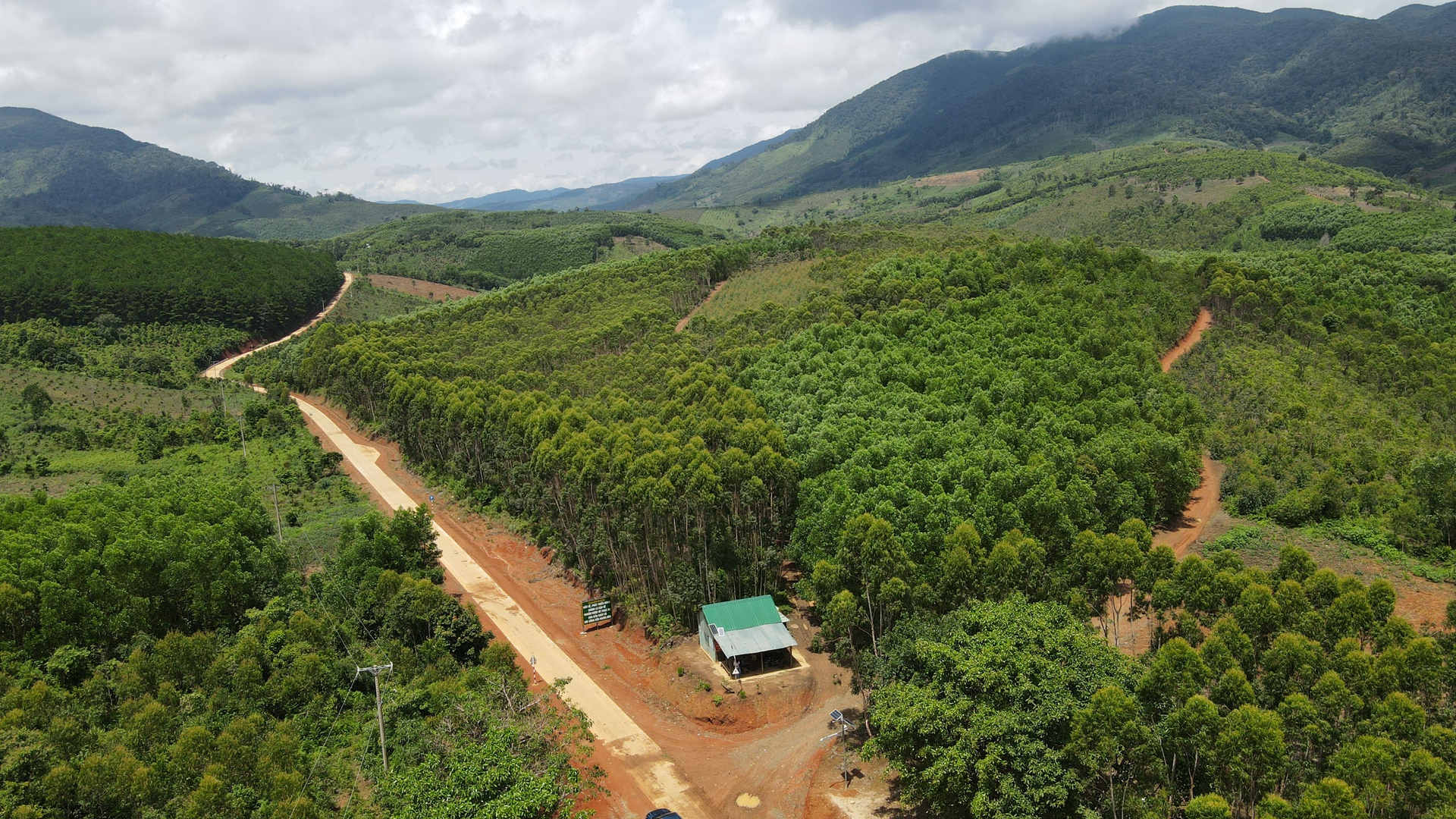 Việc lắp đặt camera giám sát, phần nào giúp những khu rừng hạn chế tình trạng khai thác gỗ trái phép. Ảnh: Tuấn Anh.