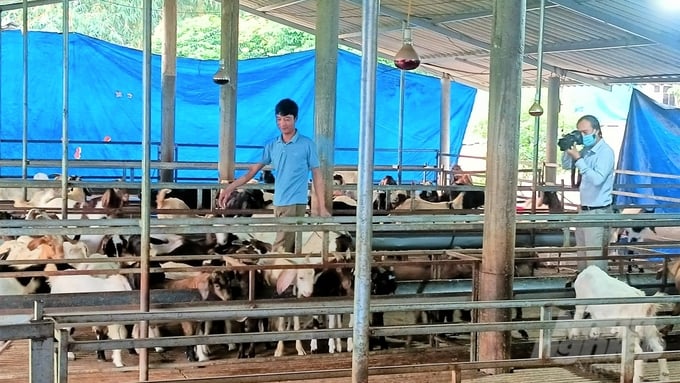 Animal welfare is a foreign concept to the majority of Vietnamese farmers. Photo: Hoang Anh.