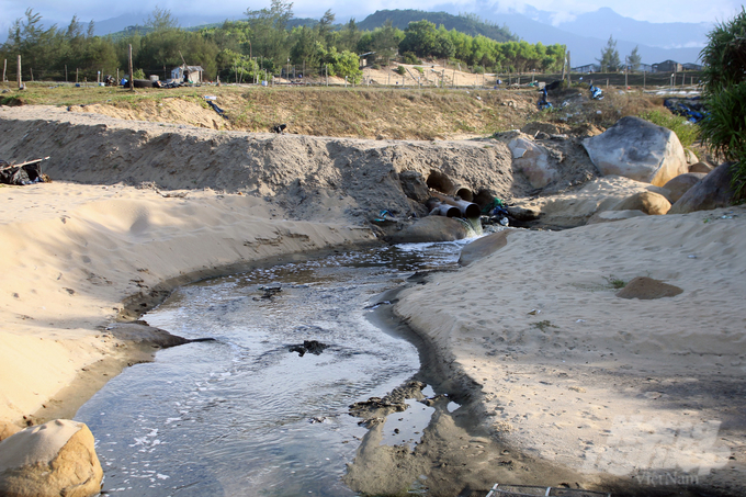 Nước thải từ các đầm tôm chảy ra bờ biển thôn Phú Hải, xã Lộc Vĩnh. Ảnh: CĐ.