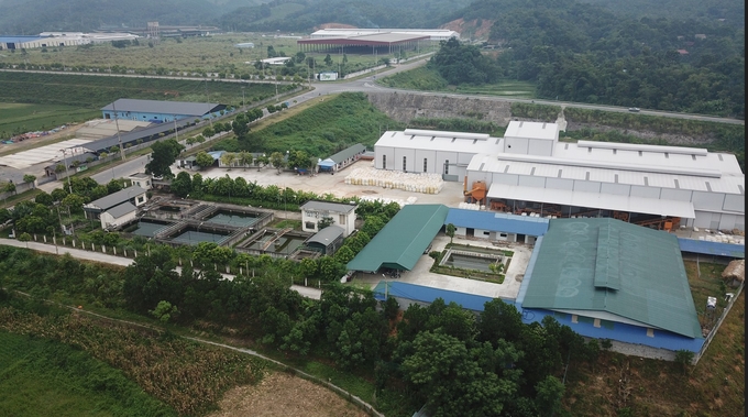 Thanh Binh Industrial Park, home to multiple active wood processing plants. Photo: Nguyen Toan. 