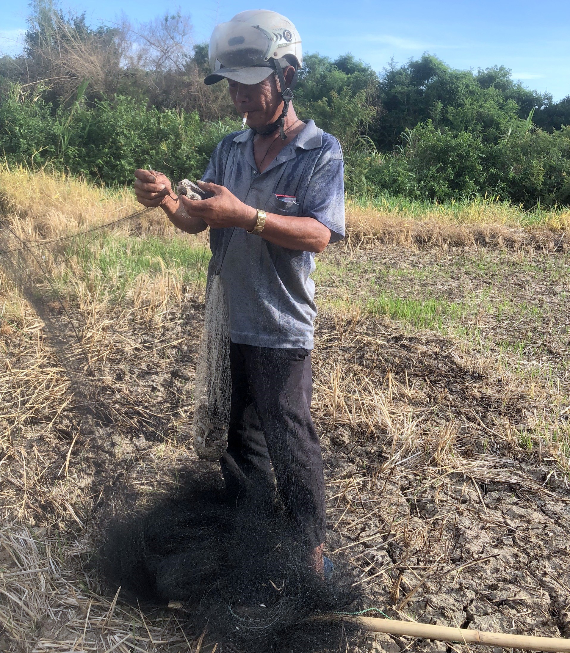 Since the beginning of the year, the Phu Yen Swiftlet Farming Association has detected nine cases of trapping birds. Photo: KS.