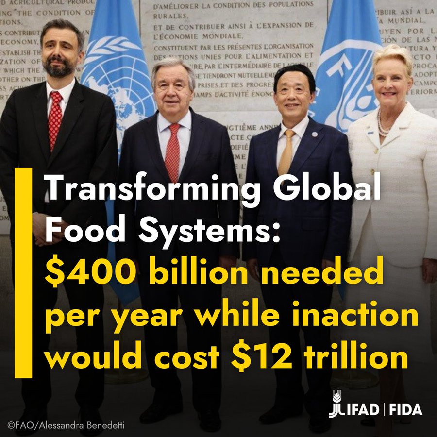 400 billion USD is needed yearly to transform global food systems and prevent damage which may cost 12 trillion USD annually. Photo: FAO.