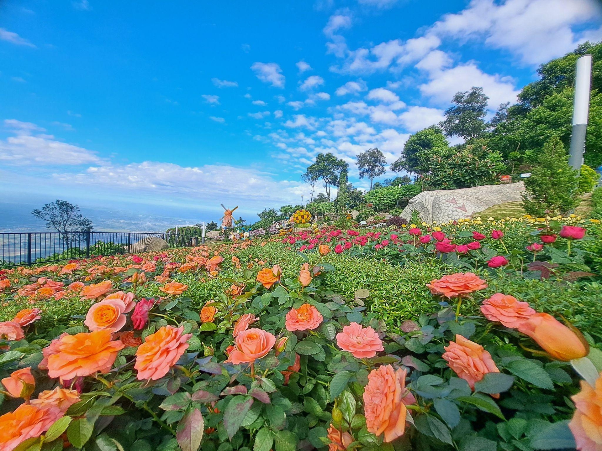 Hàng trăm loài hoa nở rộ cùng thảm cây xanh giữa không gian khoáng đạt, trong lành trên đỉnh núi Bà Đen khiến nhiều du khách liên tưởng đến Đà Lạt. Ảnh: Sun World Ba Den Mountain.