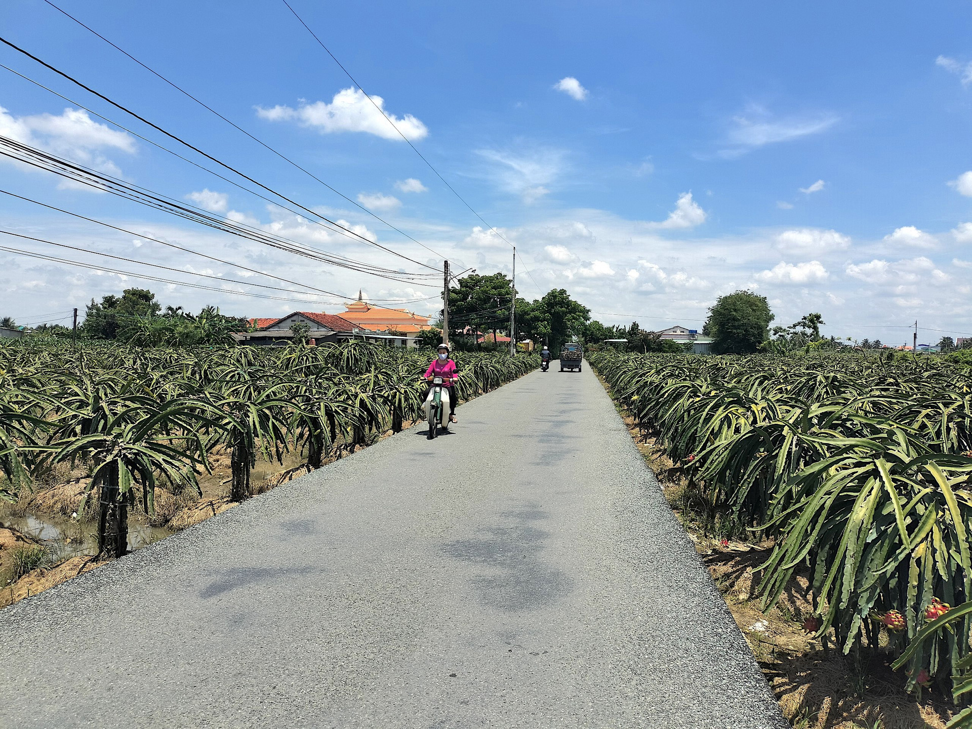 Giao thông nông thôn thuận tiện cho sản xuất, mua bán của người dân. Ảnh: Minh Đảm.