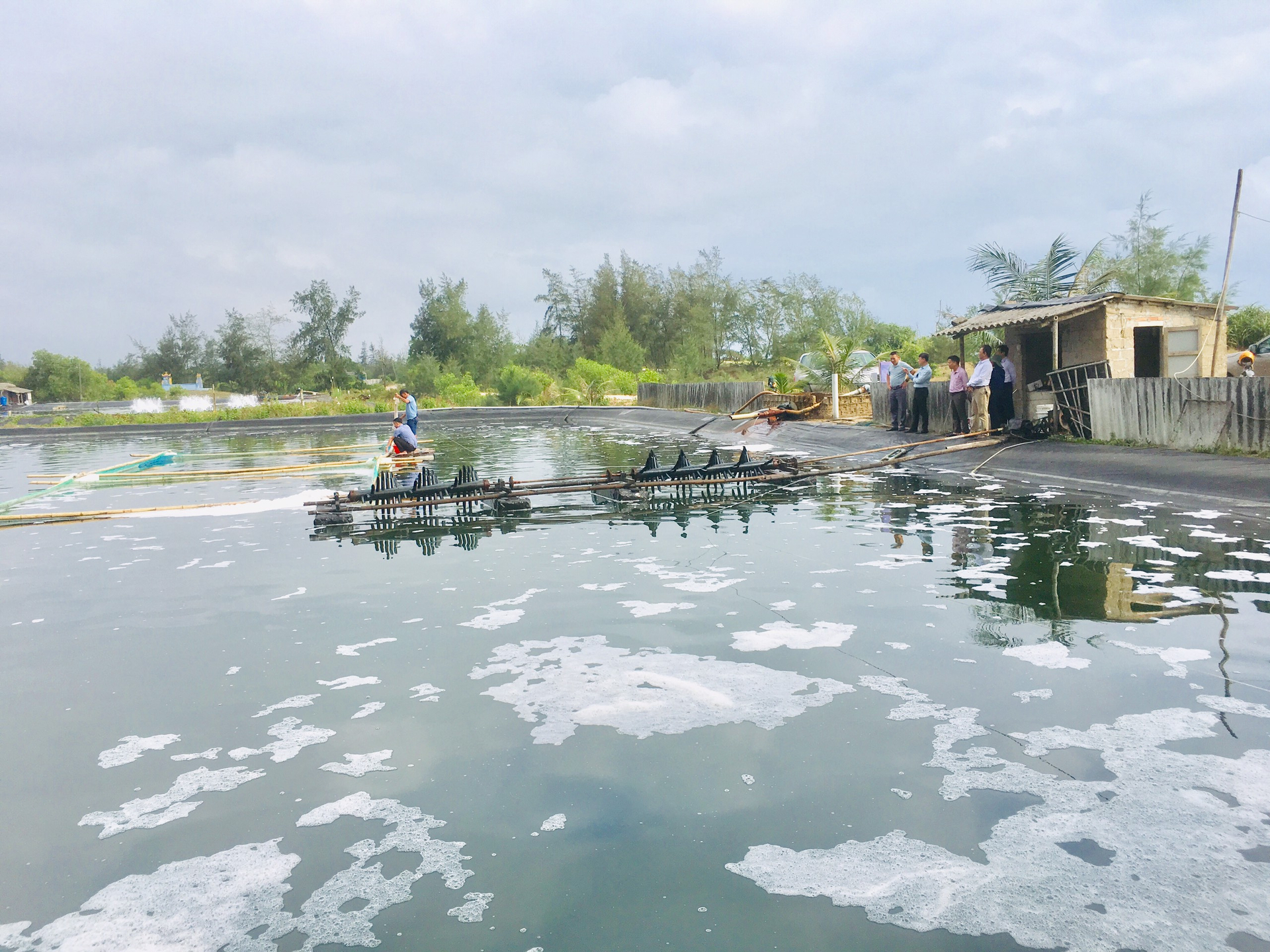 Mô hình mở ra hướng đi mới cho người nuôi thủy sản ở các vùng bãi ngang ven biển tỉnh Quảng Trị. Ảnh: Việt Toàn.