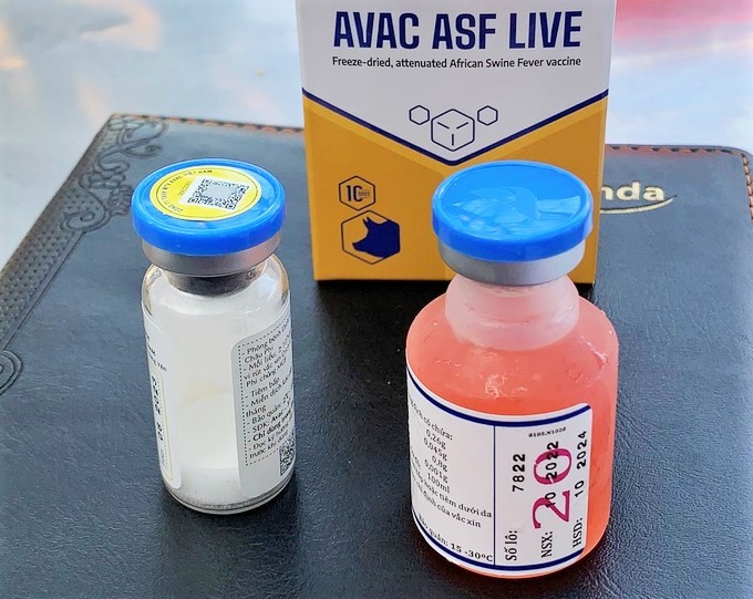Vaccine against African swine fever (AVAC ASF LIVE) researched and produced by AVAC Vietnam JSC, was licensed for circulation on July 8, 2022. Photo: TQ.