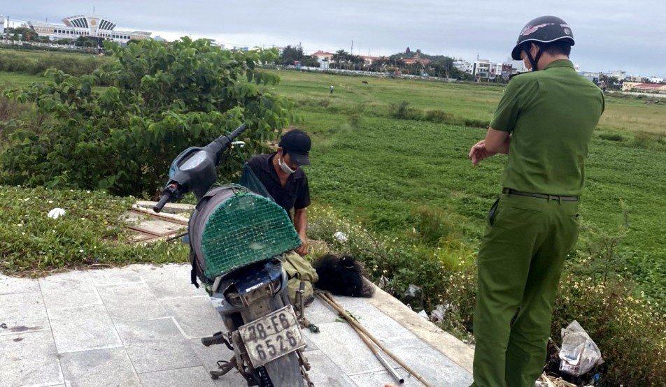 Hiện nay việc bẫy chim hoang dã, chim yến là hành vi vi phạm pháp luật. Ảnh: KS.