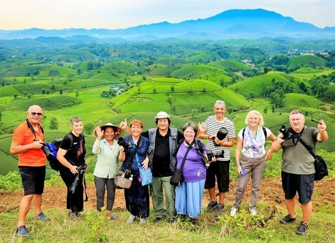  The tea production area in Long Coc commune has attracted a sizeable number of tourists. Photo: HA.