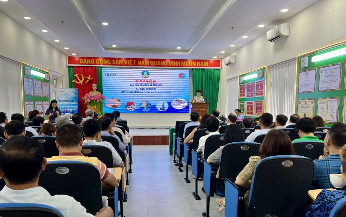 MARD held National Workshop on the Conservation of Marine Turtles and Marine Mammals in Con Dao (Ba Ria - Vung Tau province).