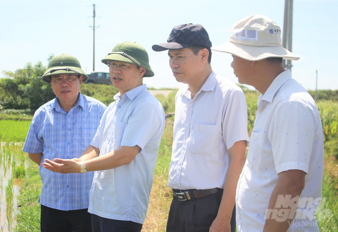 Ông Nguyễn Quý Dương (thứ 2 từ trái sang), Phó Cục trưởng Cục Bảo vệ thực vật kiểm tra tình hình sâu bệnh hại lúa mùa tại tỉnh Nam Định. Ảnh: Trung Quân.