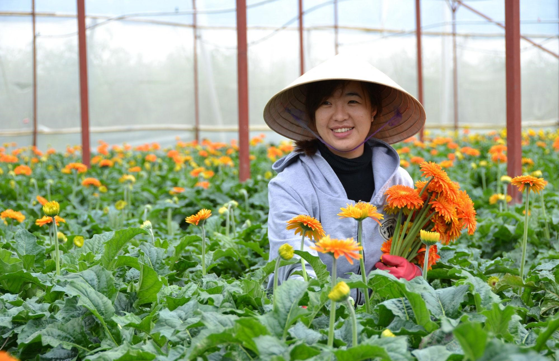 Various Japanese universities are recruiting students for smart agriculture and food technology. Photo:  TL.